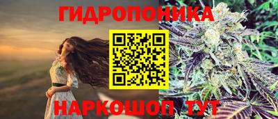 МДПВ Пушкино