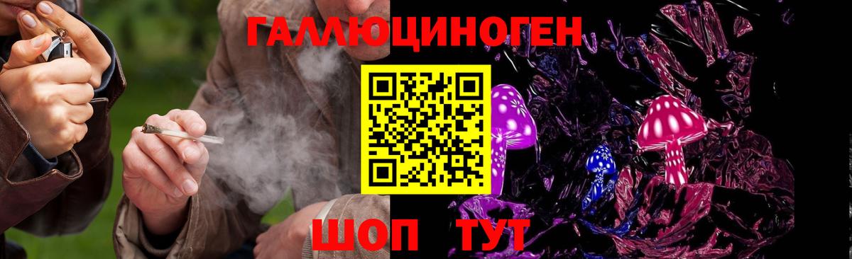 Галлюциногенные грибы мицелий  как найти закладки  Электрогорск  Вход с VPN  Псилоцибиновые грибы прущие грибы 